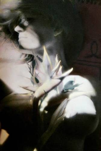 Bird of Paradise, by AOM subscriber Gloria de los Santos. Art Opportunities Monthly lists art competitions, art shows, grants, fellowships, public art commissions and other sources of money for artists working in all media, styles and geographic locations.