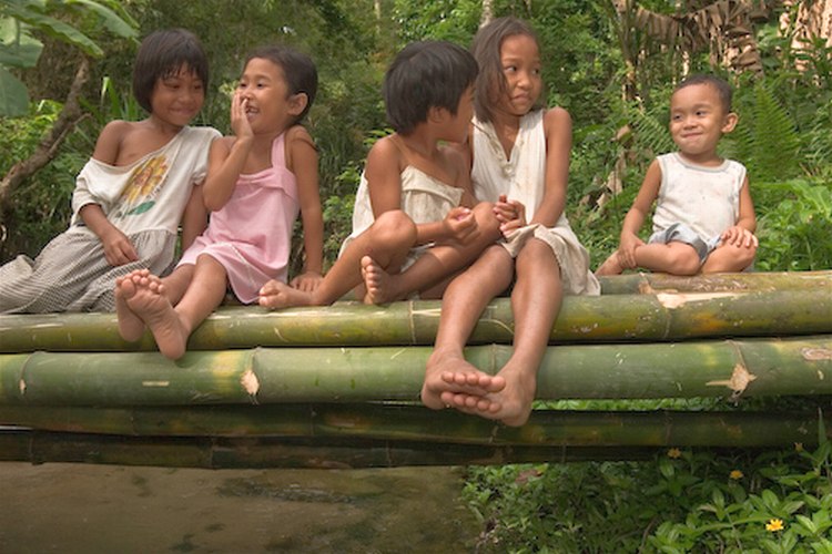 Noah Jackson, Bamboo Kids on Forest Bridge