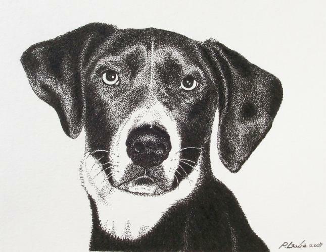 Patricia A. Leslie, Sensitive Girl, 2007,&nbsp; India ink on vellum paper, 6.5 x 9 in.