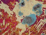 W.O.O.F by Keven Ann Seaver, Art Opportunities Monthly subscriber