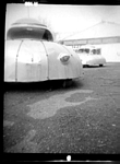 Colony, 2002, by Art Opportunities Monthly Subscriber Riccardo Toronto,
