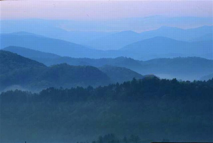 Misty Smokies, by Cathy Warnecke, Art Opportunities Monthly subscriber